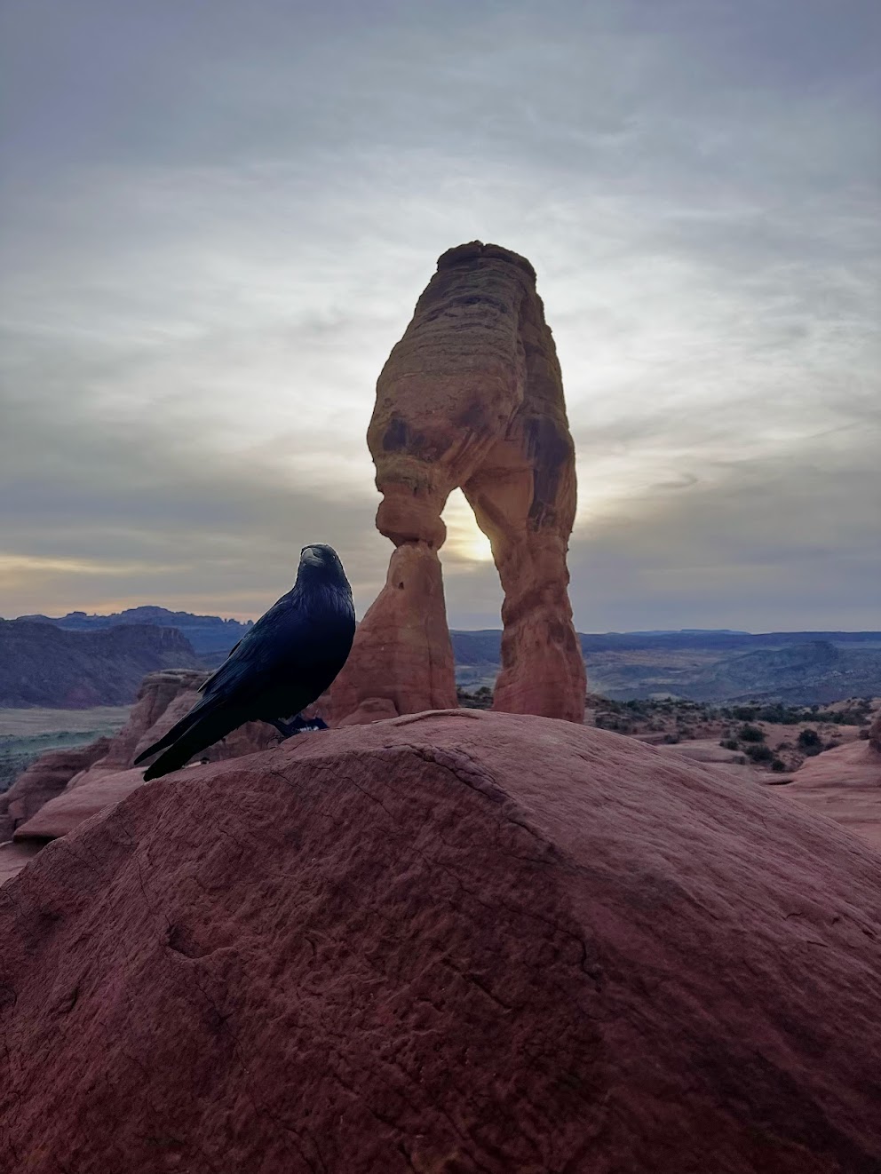 5 of the Best Trails for Hiking: Arches National Park